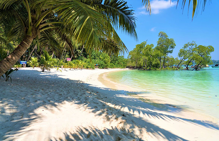 Havelock