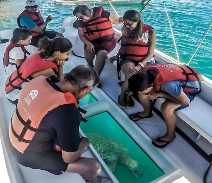 Glass-Bottom Boat