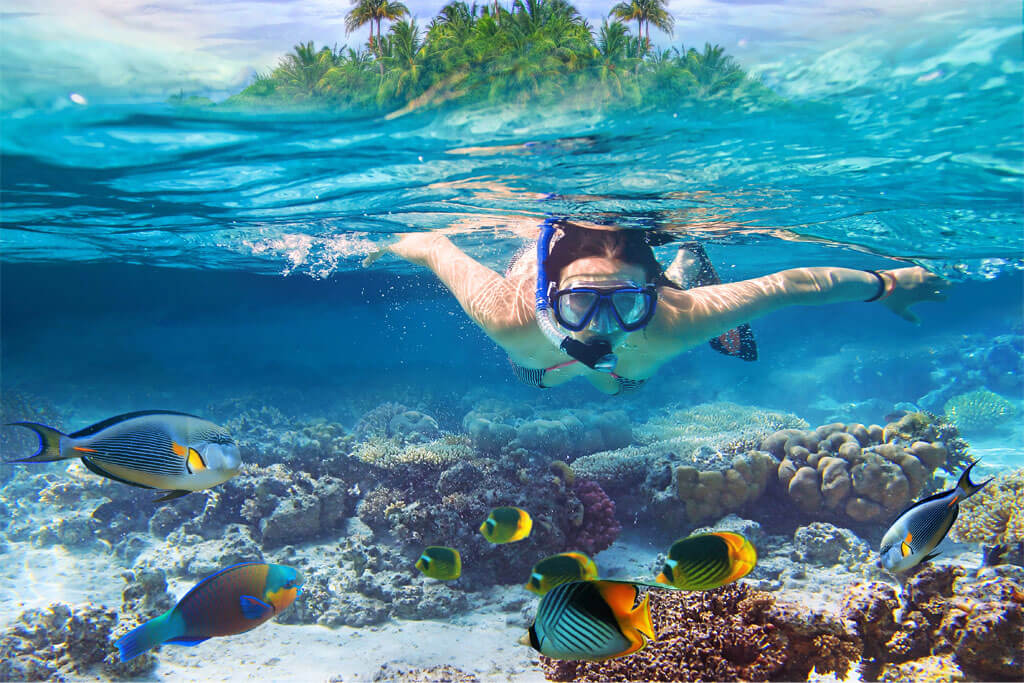 Snorkeling
